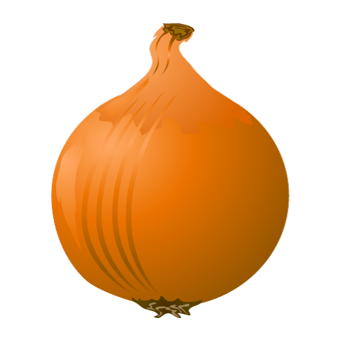 Onion