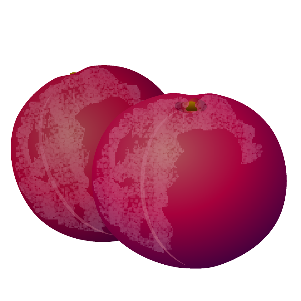 Plum