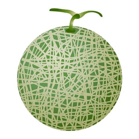 Melon