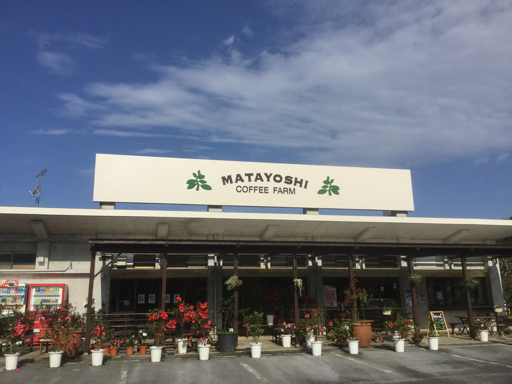 A farmer, Matayoshi Coffee En (Kunigami, Okinawa) 